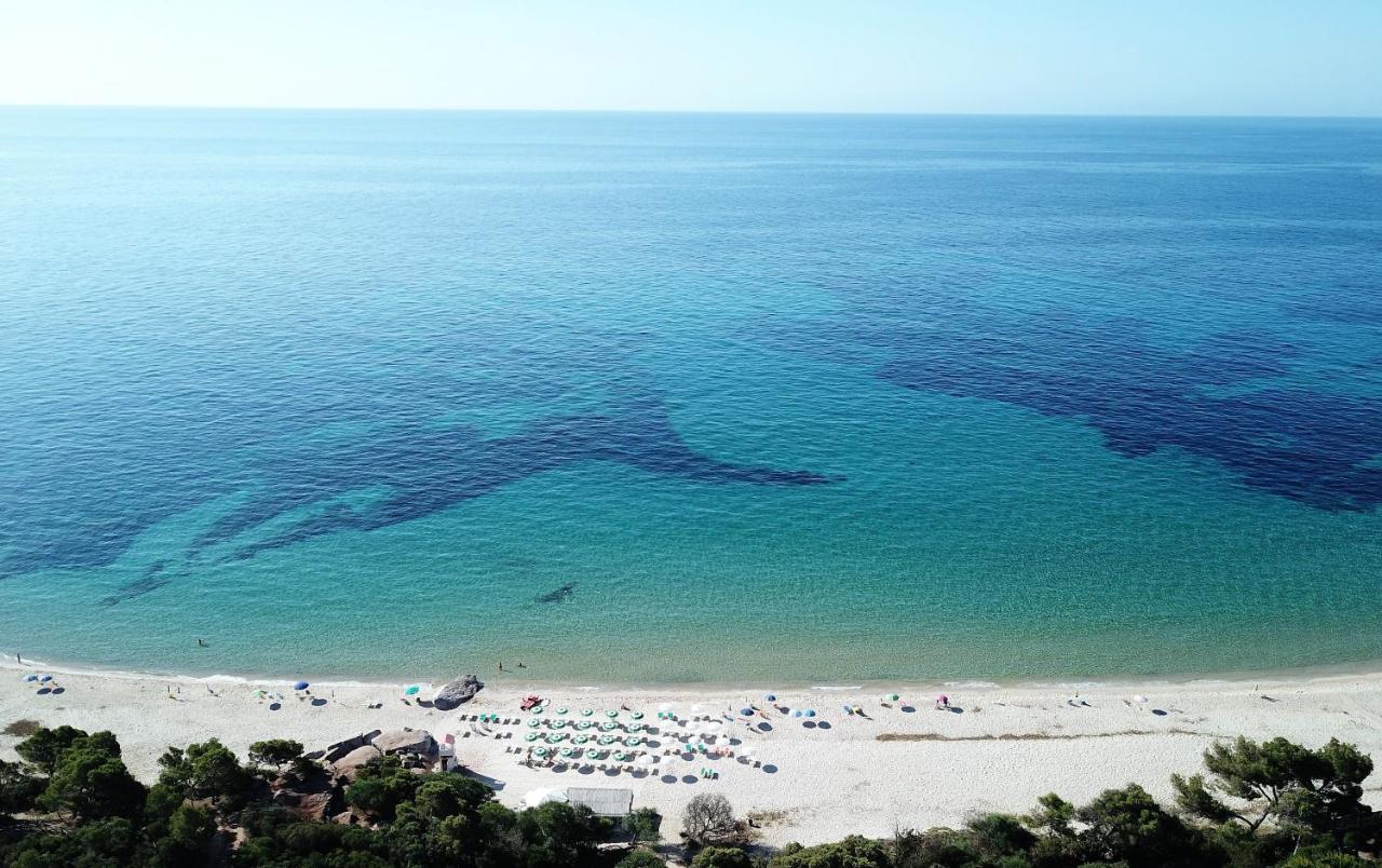 Deliziosa Villetta Sul Mare Appena Ristrutturata プーラ エクステリア 写真
