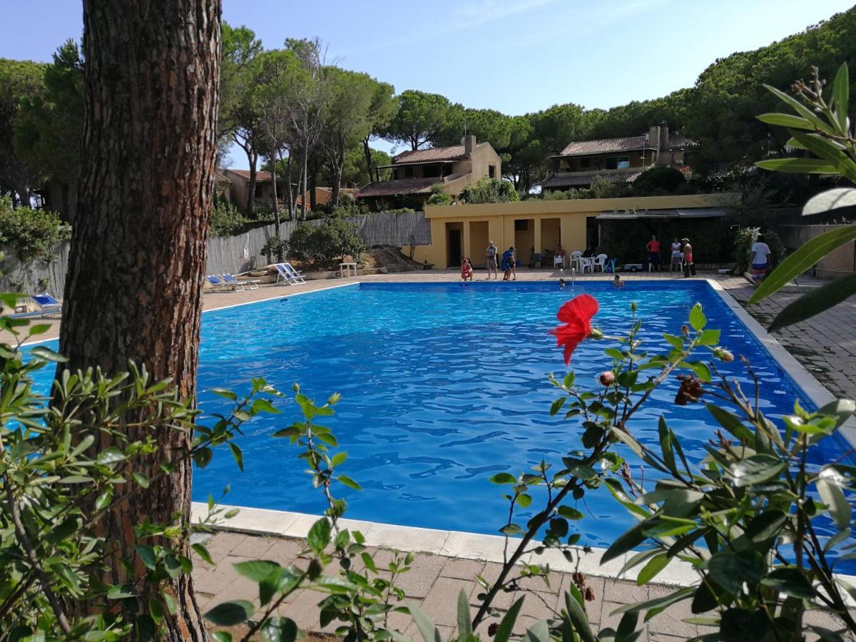 Deliziosa Villetta Sul Mare Appena Ristrutturata プーラ エクステリア 写真